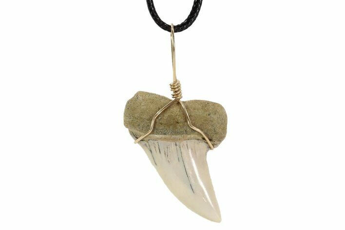 Fossil Mako Tooth Necklace - Bakersfield, California #95246